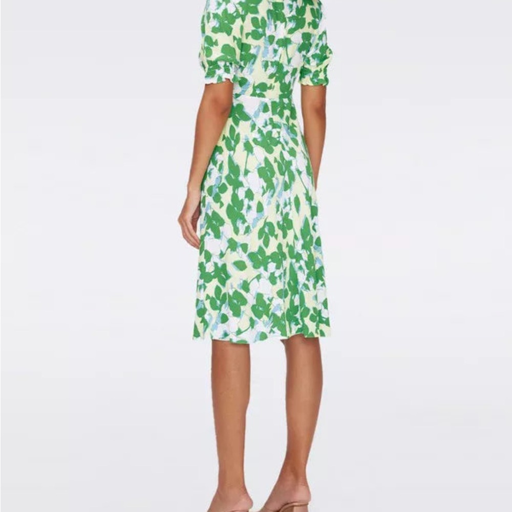 Diane Von Furstenberg Jemma Dress Earth Floral